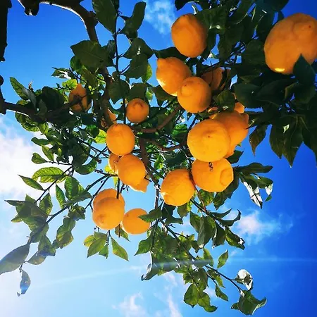 Ape Regina 3* Casamicciola Terme