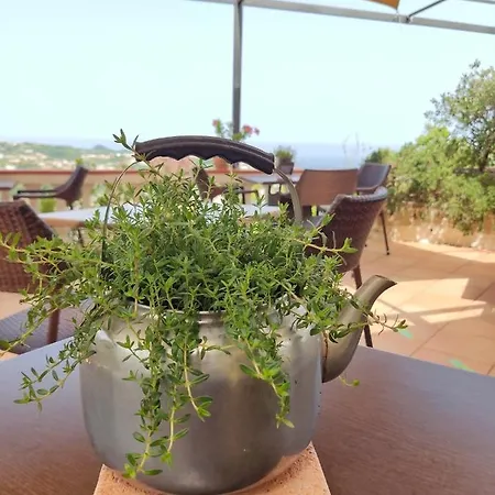 Ape Regina 3* Casamicciola Terme